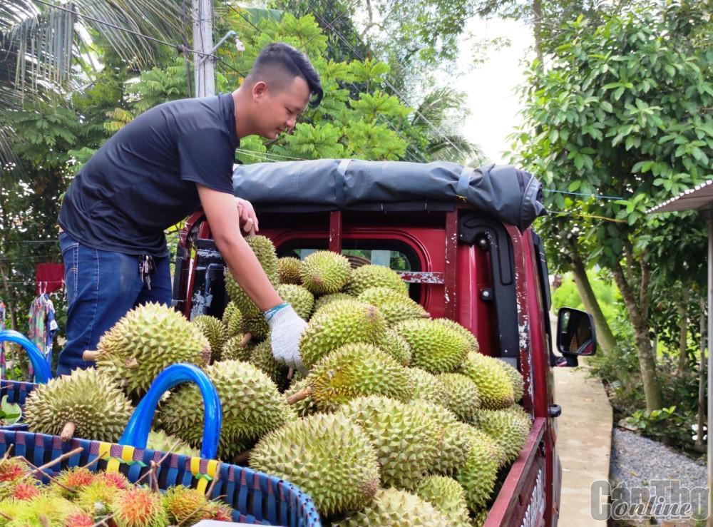 Ứng dụng công nghệ trong thu thập thông tin, dự báo thị trường nông sản