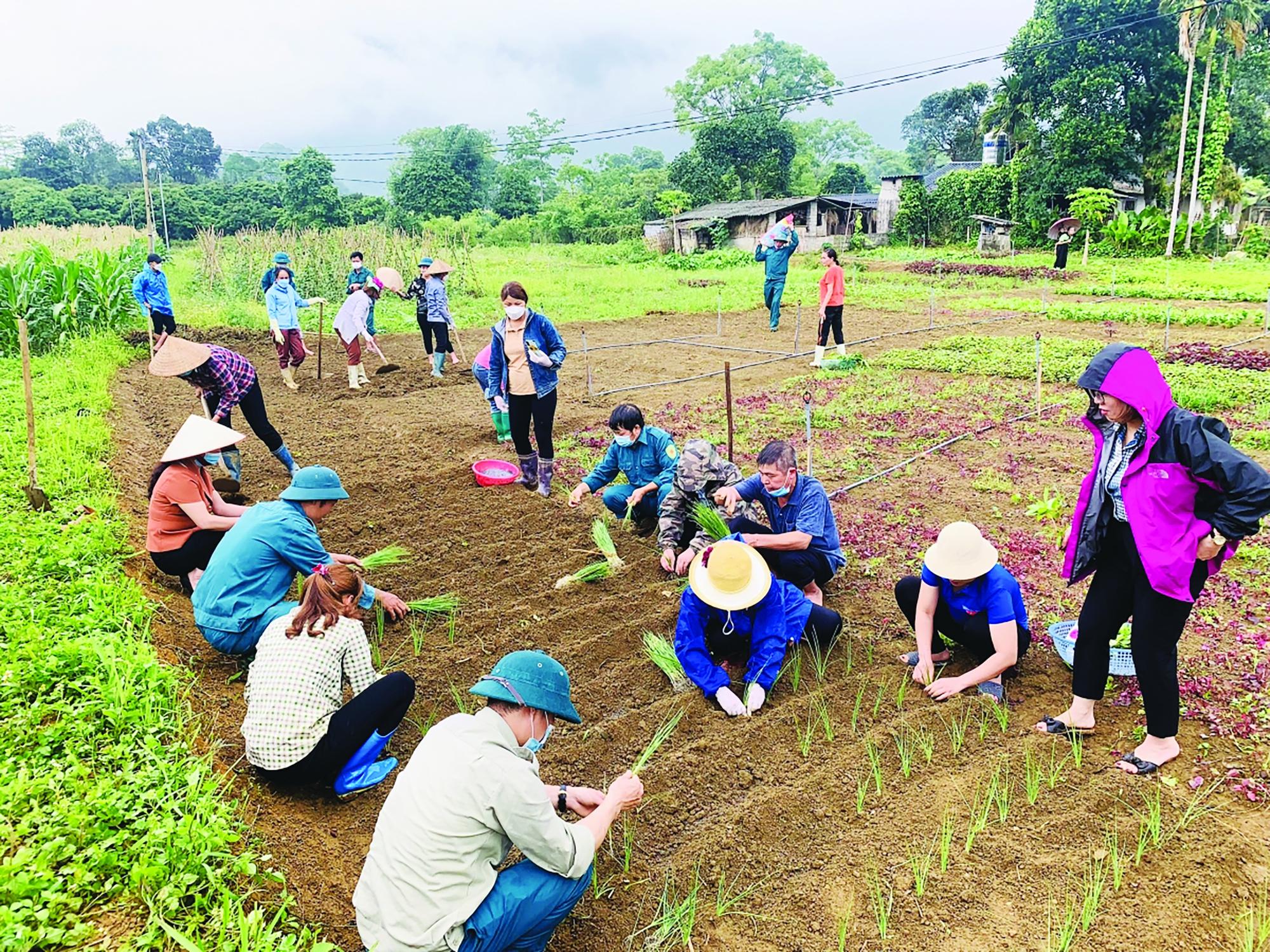 Xã Phong Quang phát động làm đường bê tông xây dựng nông thôn mới gắn với cải tạo vườn tạp - Ảnh 3. Xã Phong Quang phát động làm đường bê tông xây dựng nông thôn mới gắn với cải tạo vườn tạp - Ảnh 3.