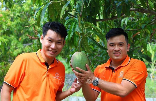 Xoài sấy muối ớt và giấc mơ đưa sản vật địa phương đi xa của nhóm bạn trẻ ở Cam Lâm - Ảnh 3.