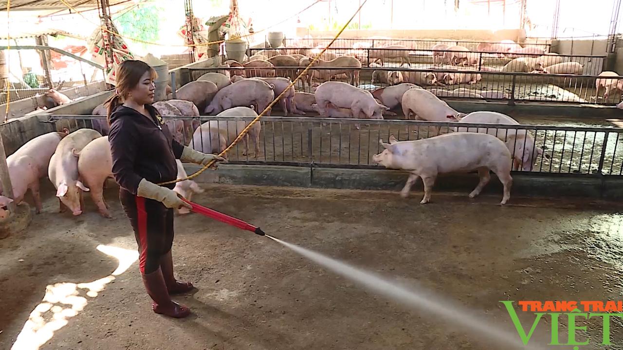 Nữ nông dân tỷ phú ở vùng cao Tây Bắc - Ảnh 2. Nữ nông dân tỷ phú ở vùng cao Tây Bắc - Ảnh 2.