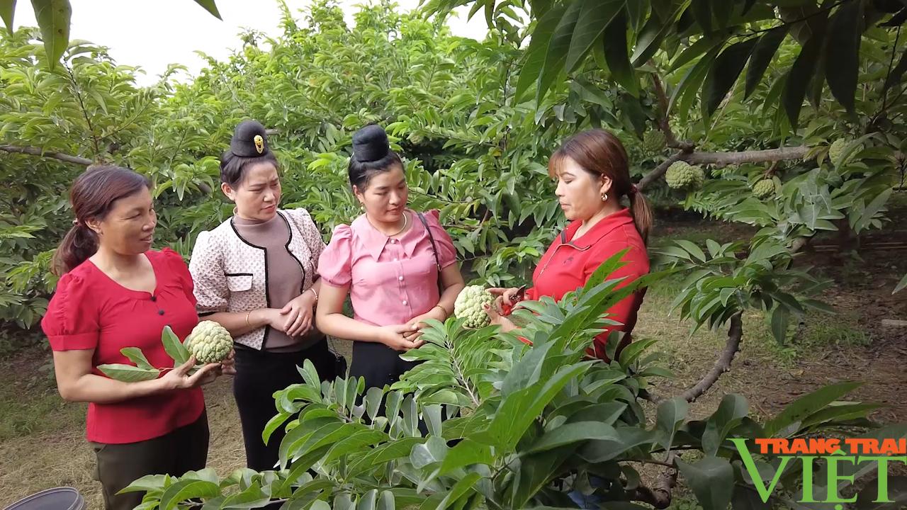 Nữ nông dân tỷ phú ở vùng cao Tây Bắc - Ảnh 4. Nữ nông dân tỷ phú ở vùng cao Tây Bắc - Ảnh 4.