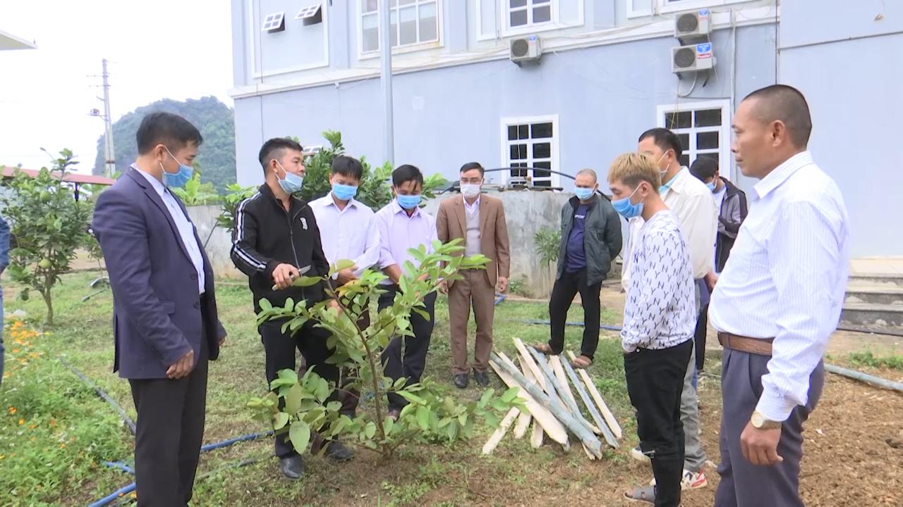Chuyển giao kỹ thuật cho nông dân theo hình thức cầm tay chỉ việc - Ảnh 3. Chuyển giao kỹ thuật cho nông dân theo hình thức cầm tay chỉ việc - Ảnh 3.