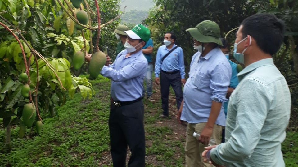 Chuyển giao kỹ thuật cho nông dân theo hình thức cầm tay chỉ việc - Ảnh 10. Chuyển giao kỹ thuật cho nông dân theo hình thức cầm tay chỉ việc - Ảnh 10.