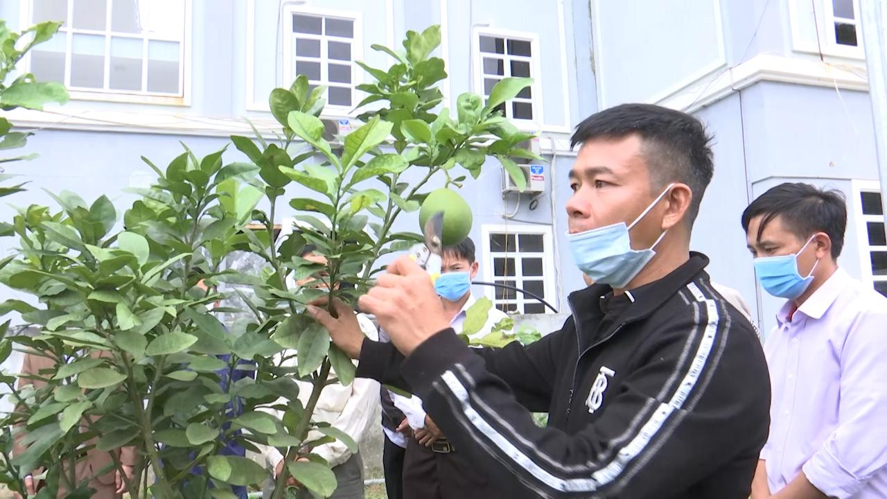 Chuyển giao kỹ thuật cho nông dân theo hình thức cầm tay chỉ việc - Ảnh 4. Chuyển giao kỹ thuật cho nông dân theo hình thức cầm tay chỉ việc - Ảnh 4.