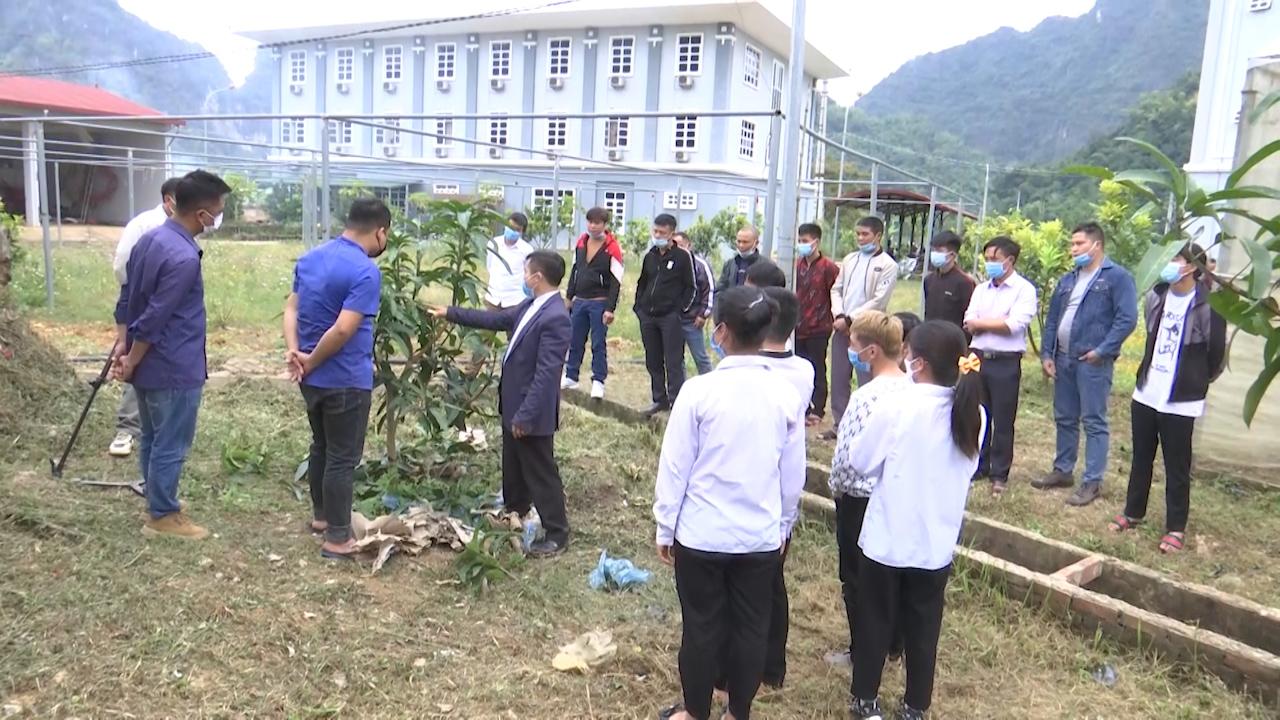 Chuyển giao kỹ thuật cho nông dân theo hình thức cầm tay chỉ việc - Ảnh 9. Chuyển giao kỹ thuật cho nông dân theo hình thức cầm tay chỉ việc - Ảnh 9.