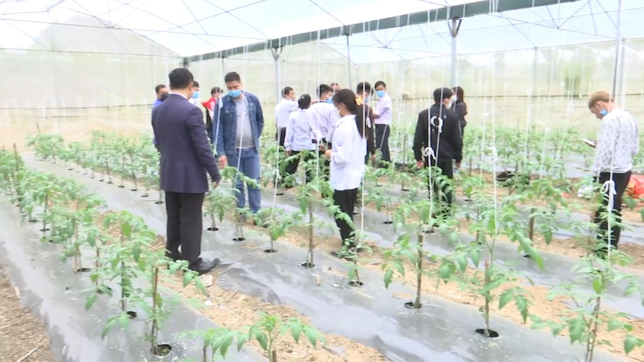 Chuyển giao kỹ thuật cho nông dân theo hình thức cầm tay chỉ việc - Ảnh 5. Chuyển giao kỹ thuật cho nông dân theo hình thức cầm tay chỉ việc - Ảnh 5.