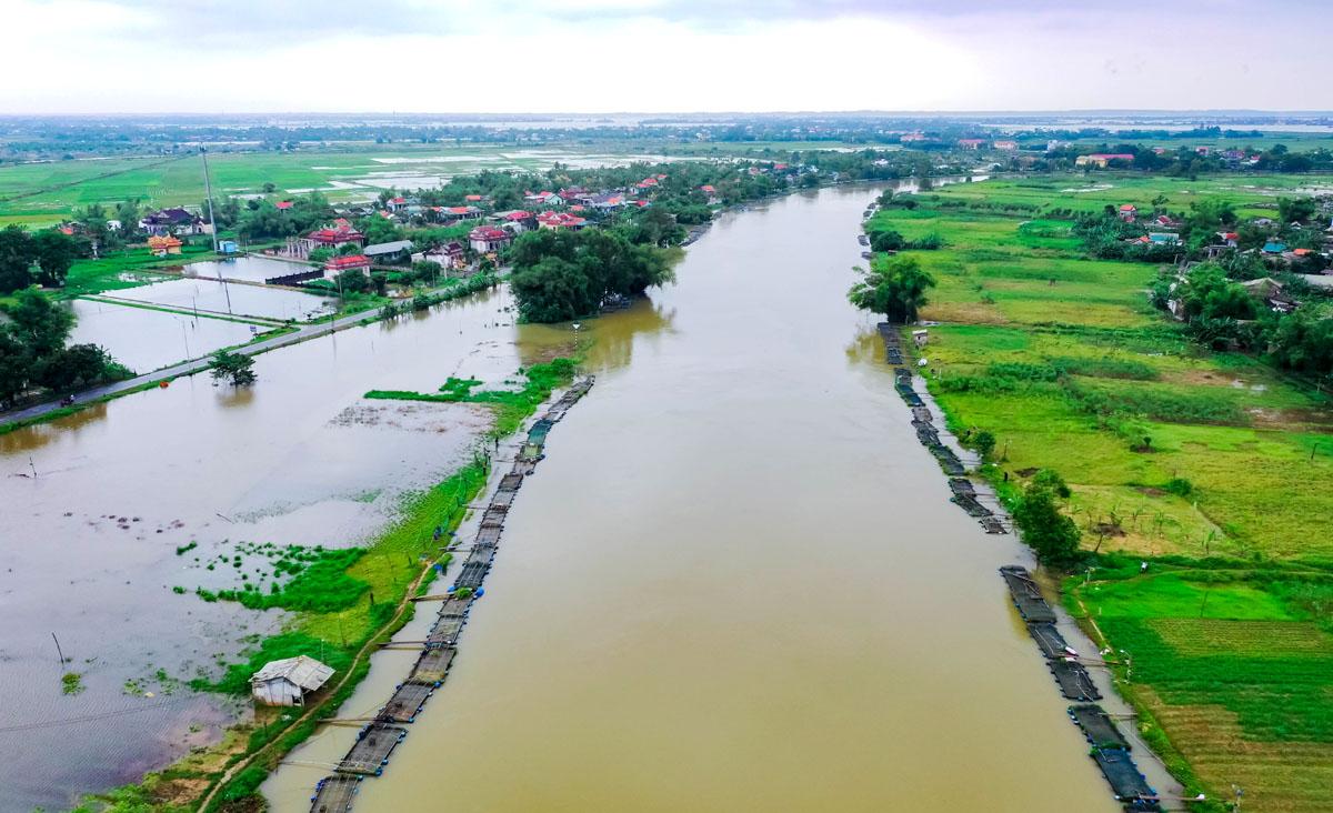 Chăm cá lồng mùa đông