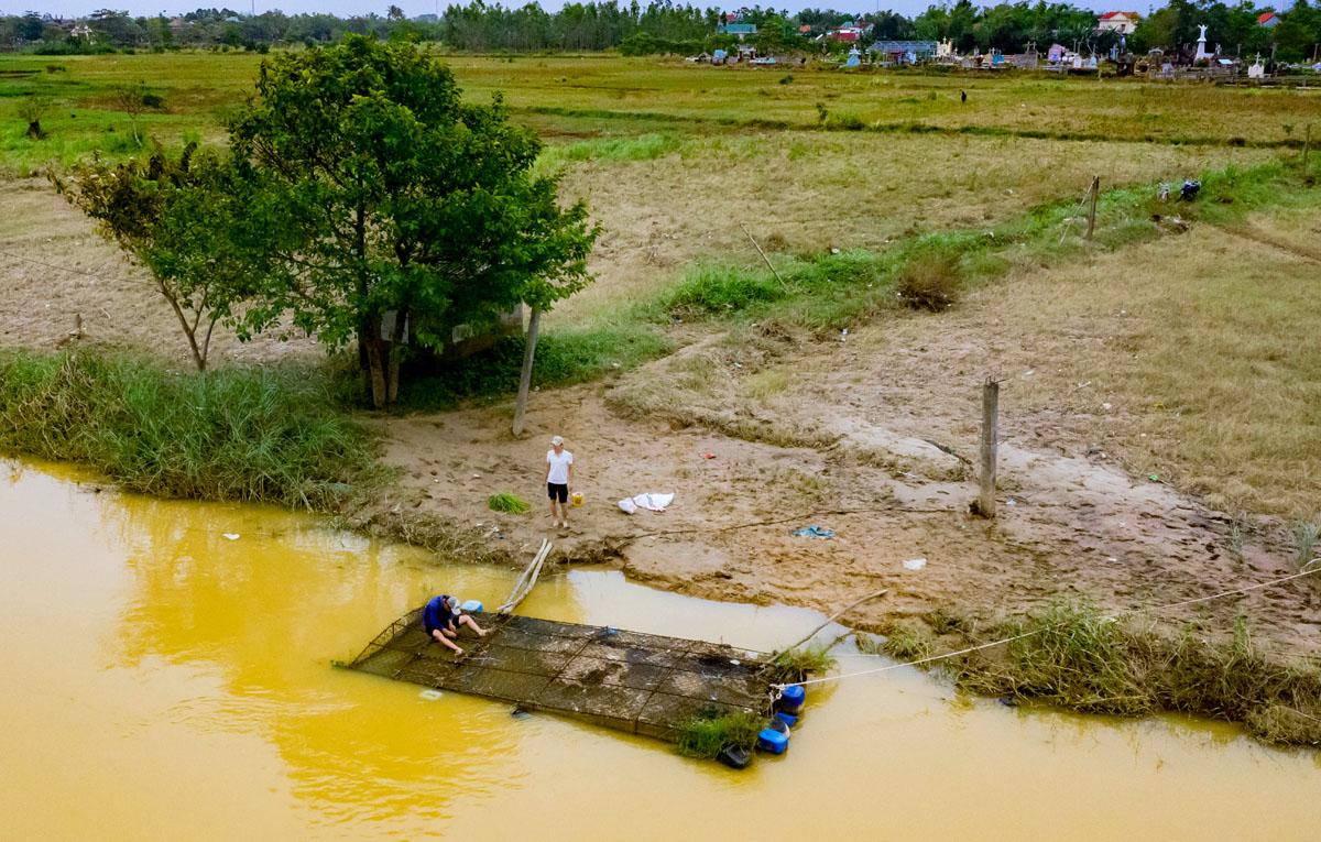 Chăm cá lồng mùa đông