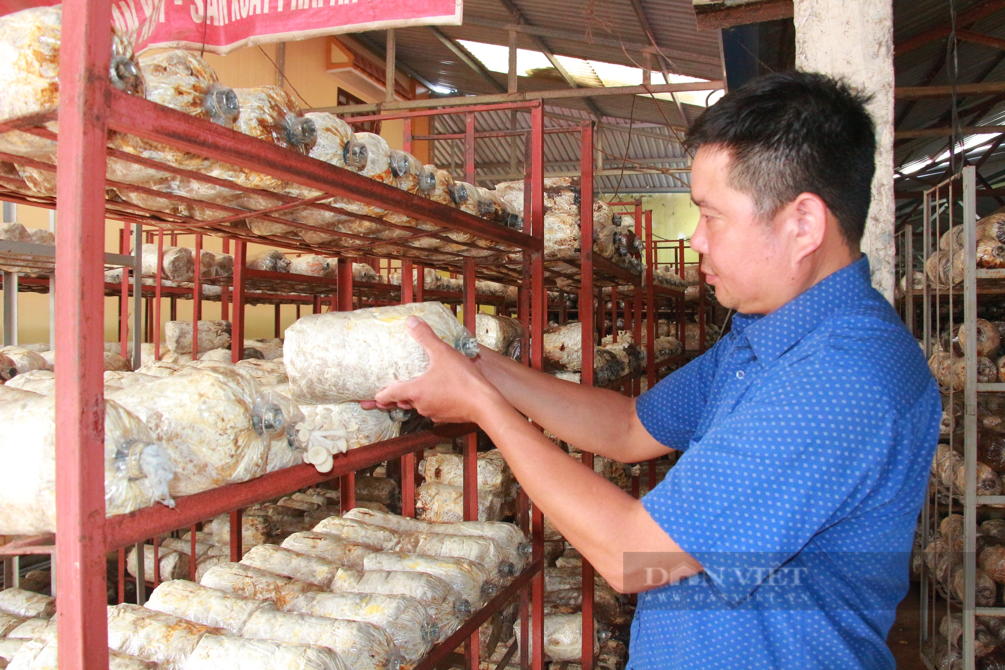 HTX sản xuất nấm sạch ở Nam Định vinh dự được Thủ tướng Chính phủ tặng Bằng khen - Ảnh 1.