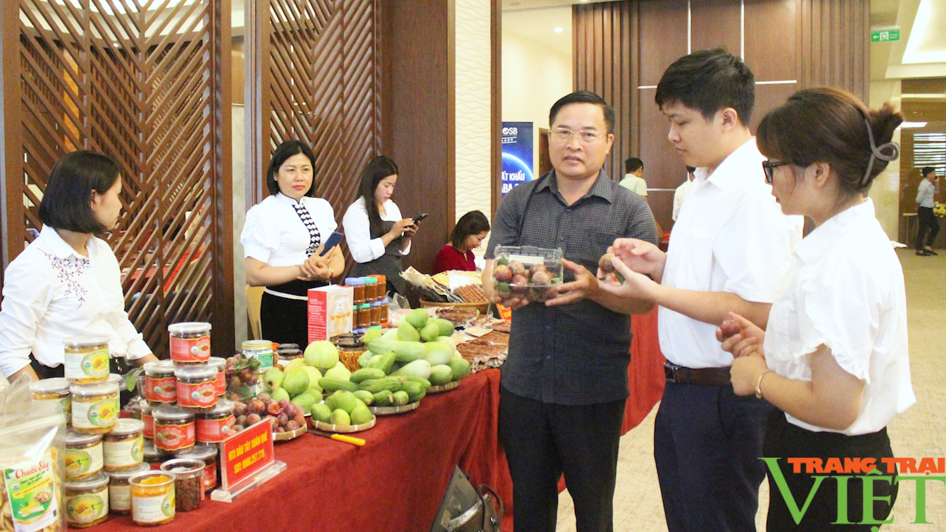 Yên Châu: Mận hậu vào mùa chín đỏ - Ảnh 5. Yên Châu: Mận hậu vào mùa chín đỏ - Ảnh 5.