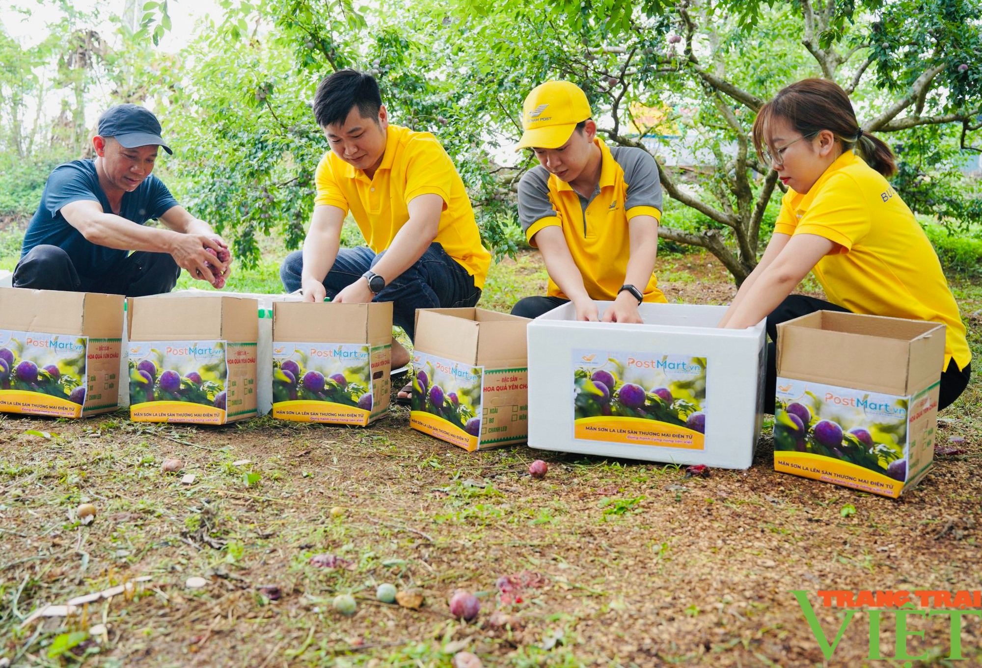 Sơn La nhân rộng mô hình "Nông dân dạy nông dân" - Ảnh 5.