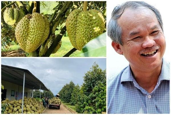 Cơ cấu lại các khoản vay, cổ đông HAG chấp thuận phương án phát hành riêng lẻ 130 triệu cp giá 10.000 đồng/cp - Ảnh 1. Cơ cấu lại các khoản vay, cổ đông HAG chấp thuận phương án phát hành riêng lẻ 130 triệu cp giá 10.000 đồng/cp - Ảnh 1.