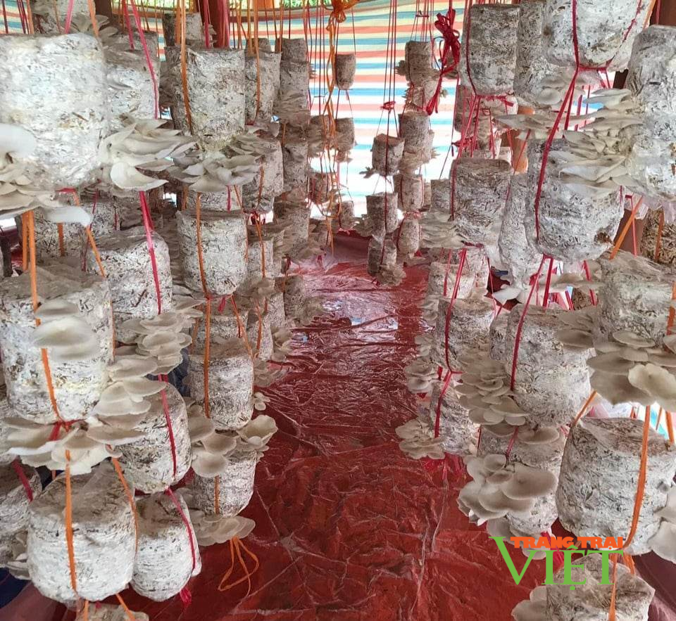 Điện Biên: Băng rừng, vượt suối đưa “nghề mới” đến đồng bào vùng cao - Ảnh 2. Điện Biên: Băng rừng, vượt suối đưa “nghề mới” đến đồng bào vùng cao - Ảnh 2.