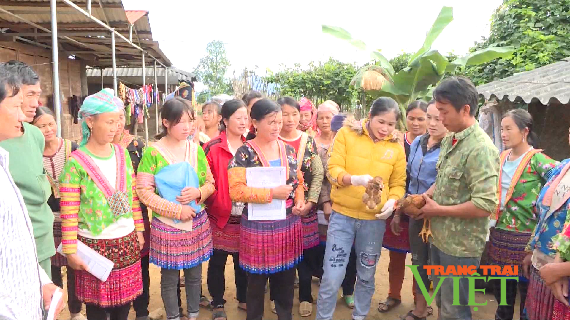 Điện Biên: Băng rừng, vượt suối đưa “nghề mới” đến đồng bào vùng cao - Ảnh 1. Điện Biên: Băng rừng, vượt suối đưa “nghề mới” đến đồng bào vùng cao - Ảnh 1.