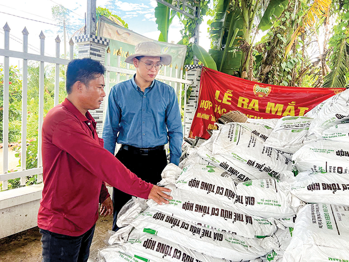 Hợp tác xã mở hướng đi mới Ông Đồng Văn Cảnh, Giám đốc HTX New Green Farm (bên trái), phường Tân Hưng, quận Thốt Nốt giới thiệu phân bón hữu cơ của HTX được sản xuất từ rơm rạ…