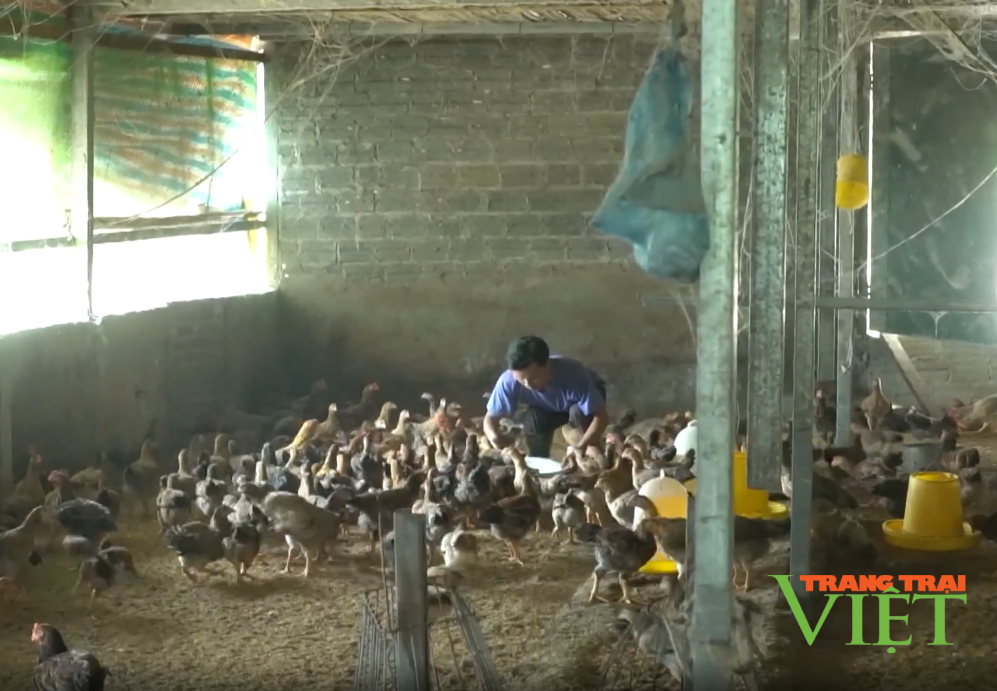 Lai Châu: Nông dân xã Bản Lang chung tay bảo vệ môi trường - Ảnh 3.
