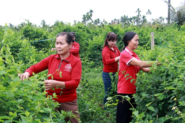 Nam Dinh nang tam san pham OCOP dac trung cua dia phuong hinh anh 1
