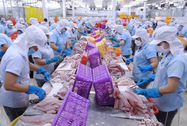 Tỷ lệ tận dụng ưu đãi thuế quan thông qua C/O mẫu UKVFTA của các doanh nghiệp Việt đã vượt mốc 30%. Ảnh: Quỳnh Hương