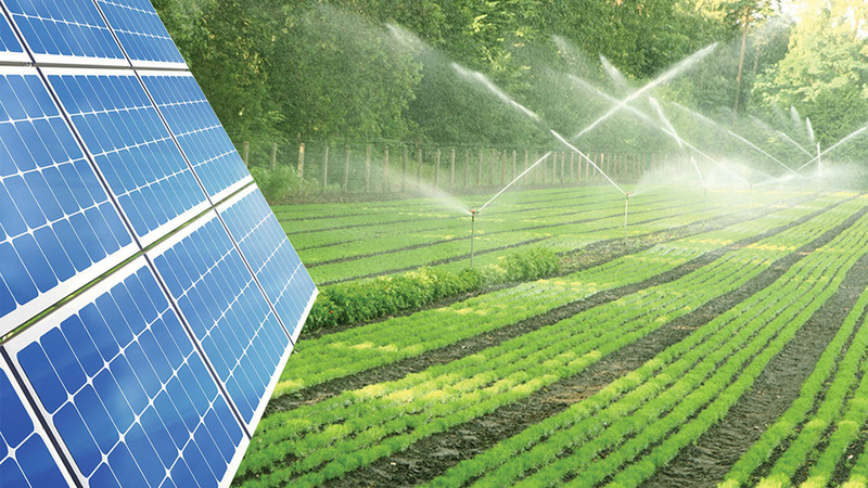 Điện mặt trời nông nghiệp. Ảnh minh họa.