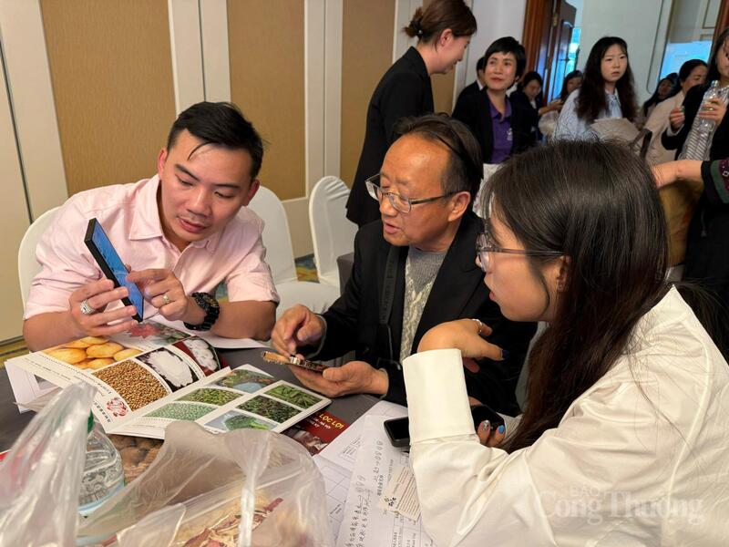 Các doanh nghiệp Việt - Trung giao lưu, tìm kiếm cơ hội hợp tác tại hội nghị. Ảnh: Minh Trang