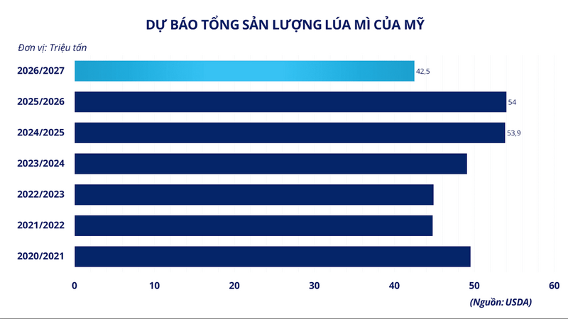 Dự báo sản lượng lúa mì của Mỹ. Nguồn: MXV