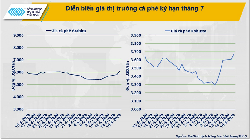 Diễn biến giá cà phê kỳ hạn tháng 7. Nguồn: MXV