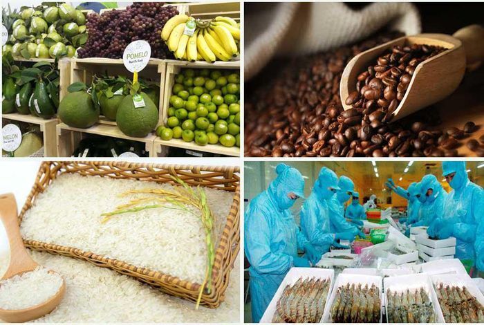 Tăng cường giám sát cộng đồng về an toàn thực phẩm nông lâm thủy sản. Ảnh: Báo Điện tử Chính phủ