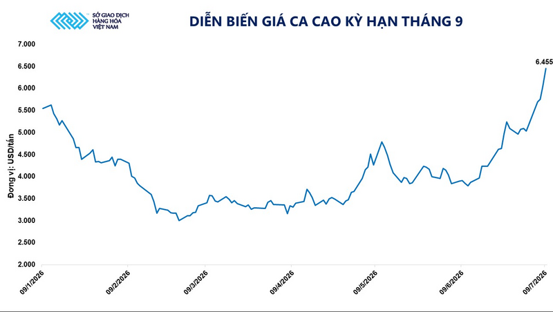 Diễn biến giá ca cao kỳ hạn tháng 9. Nguồn: MXV