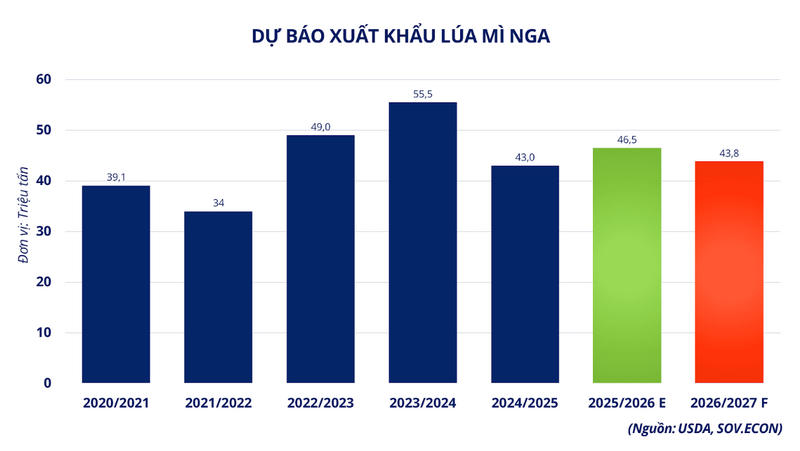 Dự báo xuất khẩu lúa mì Nga. Nguồn: MXV