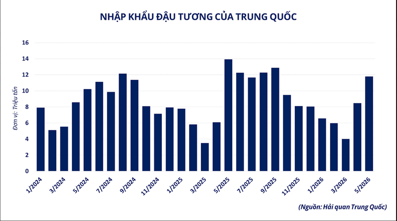 Nhập khẩu đậu tương của Trung Quốc.
