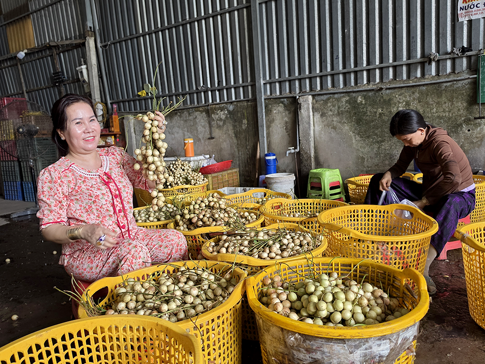 Mùa dâu Hạ Châu