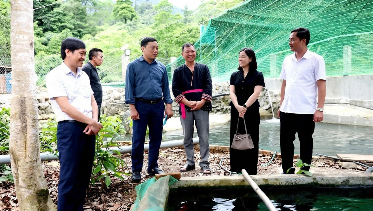 Phú Thọ: Chăm lo toàn diện để vùng đồng bào dân tộc thiểu số phát triển bền vững