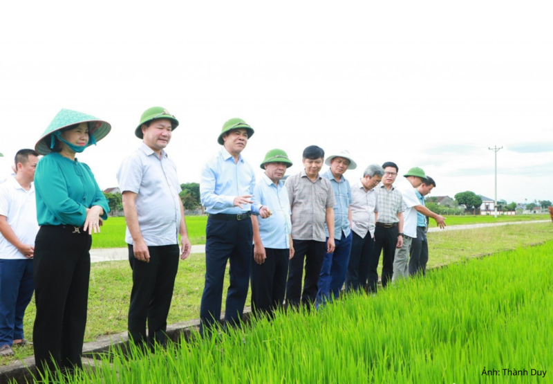 Tỉnh ủy, HĐND tỉnh và UBND tỉnh Nghệ An luôn quan tâm chỉ đạo phát triển nông nghiệp, nông thôn, thực hiện mục tiêu giảm nghèo bền vững
