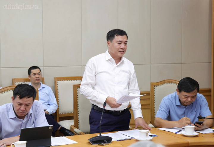 Thứ trưởng Bộ Công Thương Nguyễn Sinh Nhật Tân báo cáo tại cuộc họp - Ảnh: chinhphu.vn/Gia Huy