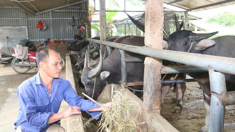 Hội Nông dân Hoà Bình cầm việc chỉ tay, giúp hội viên thoát nghèo