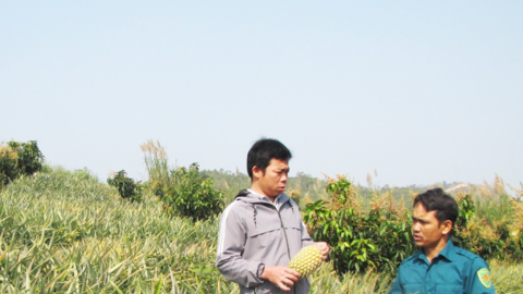 Nậm Nhùn chung sức xây dựng nông thôn mới