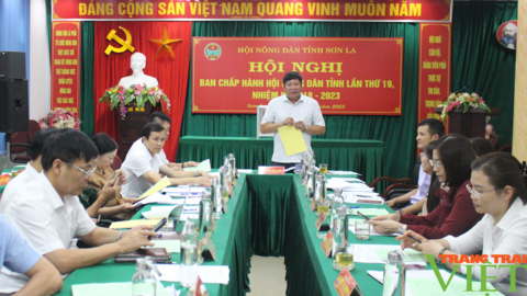 Hội nghị BCH Hội Nông dân tỉnh Sơn La lần thứ 19