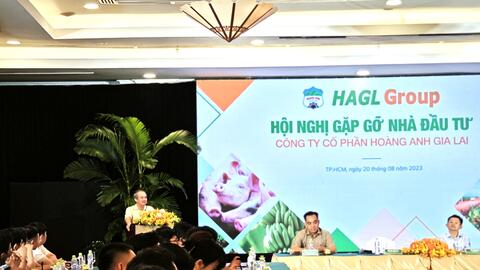 Bầu Đức khoe vườn sầu riêng 1.200 ha siêu lợi nhuận