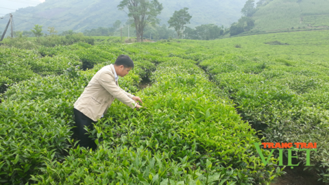 Nông dân Tam Đường thi đua sản xuất kinh doanh giỏi