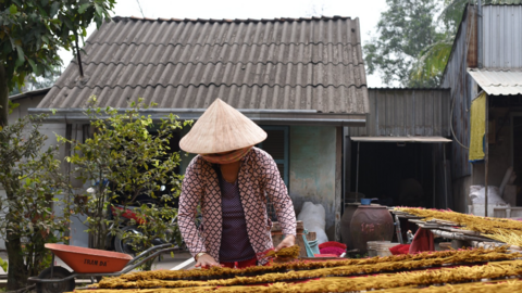 Thu hút khoảng 5 triệu lao động, giá trị xuất khẩu các mặt hàng ngành nghề nông thôn đạt trên 6 tỷ USD/năm vào 2030