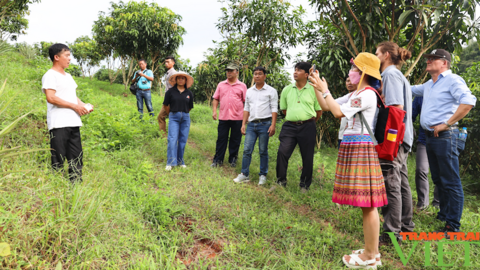 Hội Nông dân Sơn La phát huy vai trò chủ thể phong trào nông dân, xây dựng Sơn La giàu đẹp