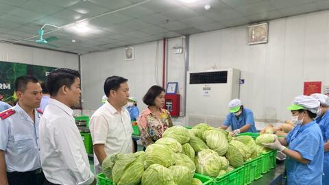Phạt 19 cơ sở hành nghề y, dược, an toàn thực phẩm