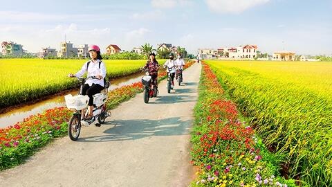 Cần Thơ ban hành bộ tiêu chí về huyện nông thôn mới, huyện nông thôn mới nâng cao 