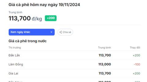 Đắk Nông và Gia Lai kéo giá cà phê lên mức cao mới