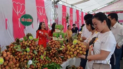 Kết nối giao thương ở Lễ hội trái cây và rau củ Việt Nam tại Singapore 2025