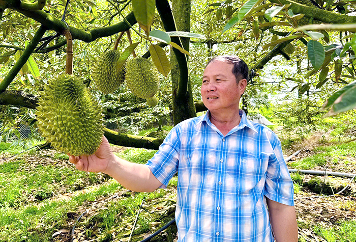Nông dân thành phố thi đua sản xuất, kinh doanh giỏi 