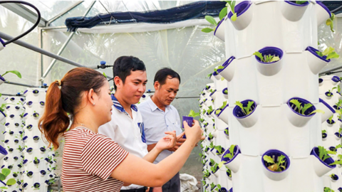 Ứng dụng khoa học, công nghệ, chuyển đổi số trong nông nghiệp 