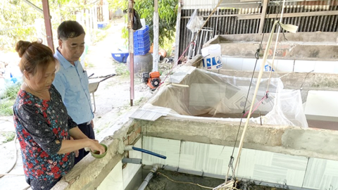 Đa dạng hóa sinh kế, tạo việc làm, tăng thu nhập cho người dân 