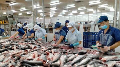 Xuất khẩu thủy sản bước vào giai đoạn tăng tốc bền vững
