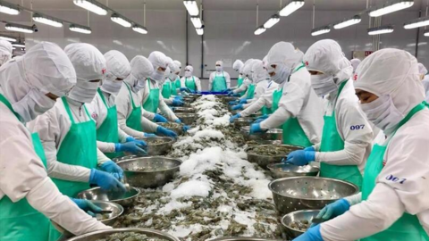 Yếu tố nào giúp xuất khẩu thủy sản tăng trưởng đầu năm 2026?